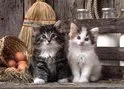 124x89 (2).webp