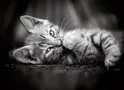 124x90 (1).webp