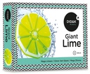 Riesiger Limettenschwimmer Didak – 120 x 10 cm