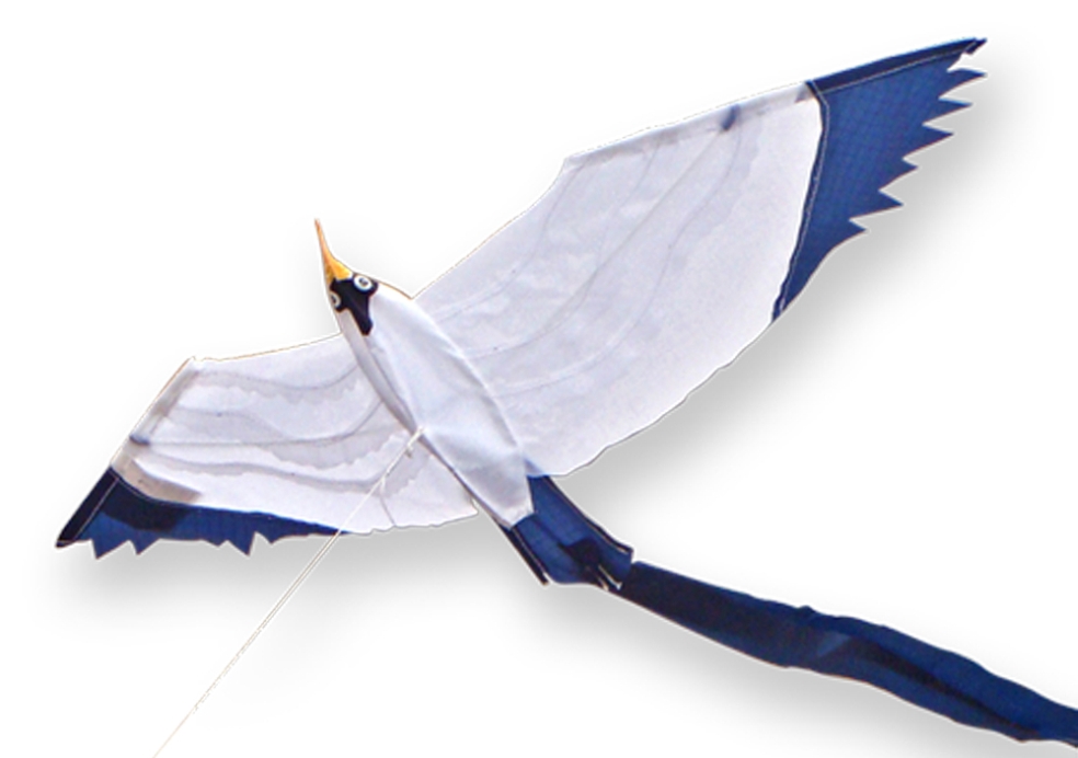 LITTLE SEAGULL 50*18 CERF-VOLANT