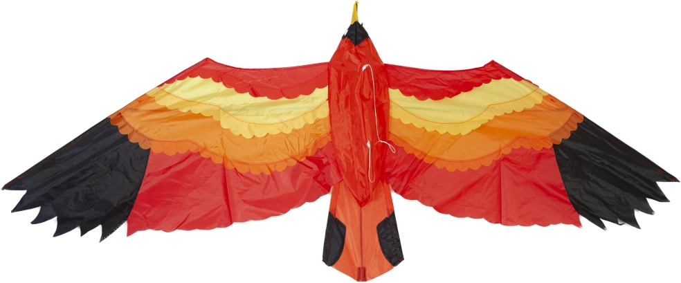 REDBIRD 154*57 VLIEGER