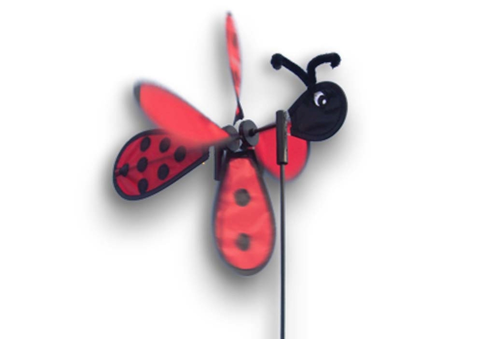 WINDMILL MINI LIZZY 45*25