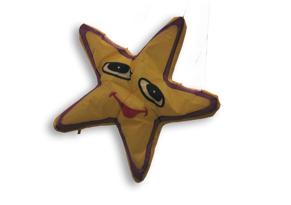 WINDHOSE 3D ILLY STAR 100*35