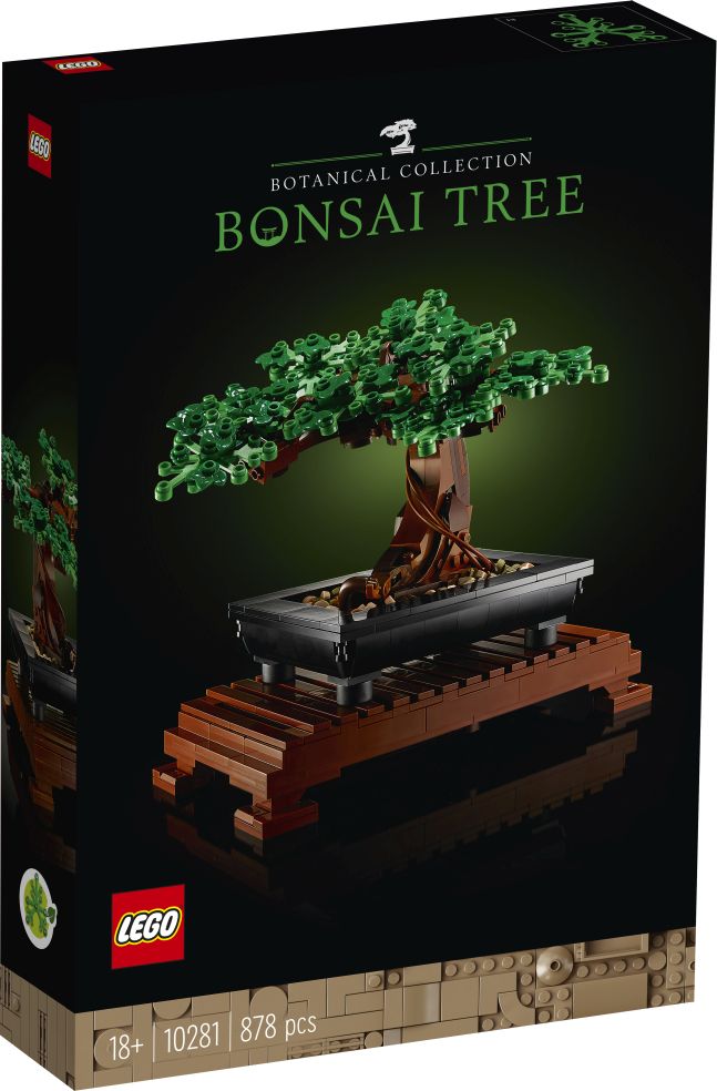 Bonsaiboompje