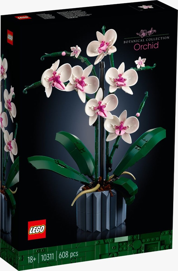 Botanisch - Orchidee