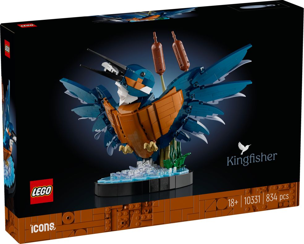Icons Kingfisher