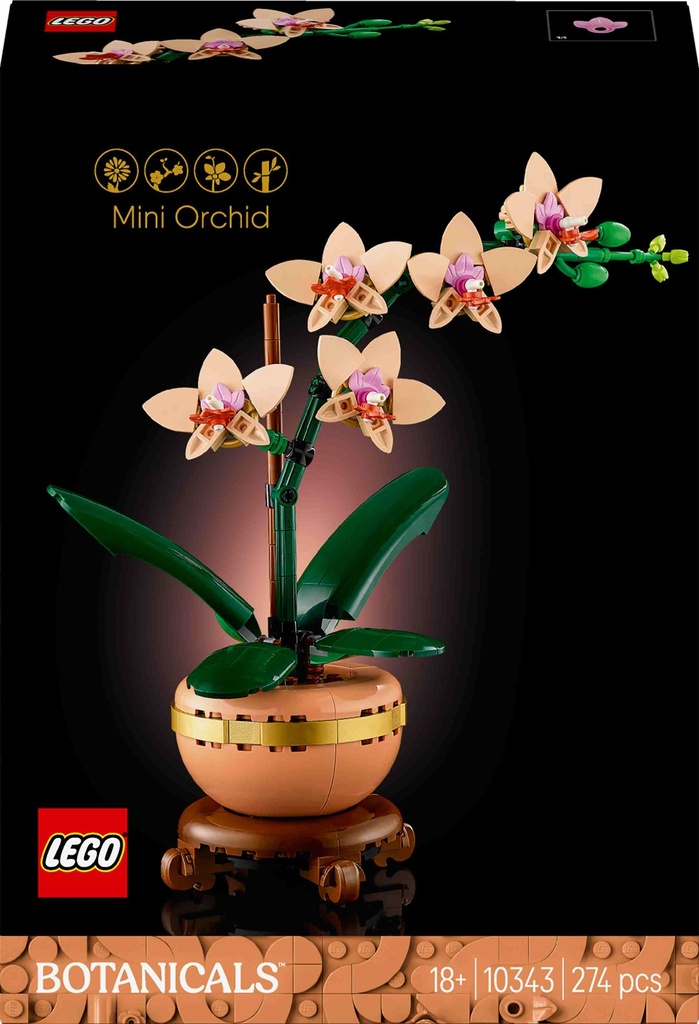 Botanisch Mini Orchidee
