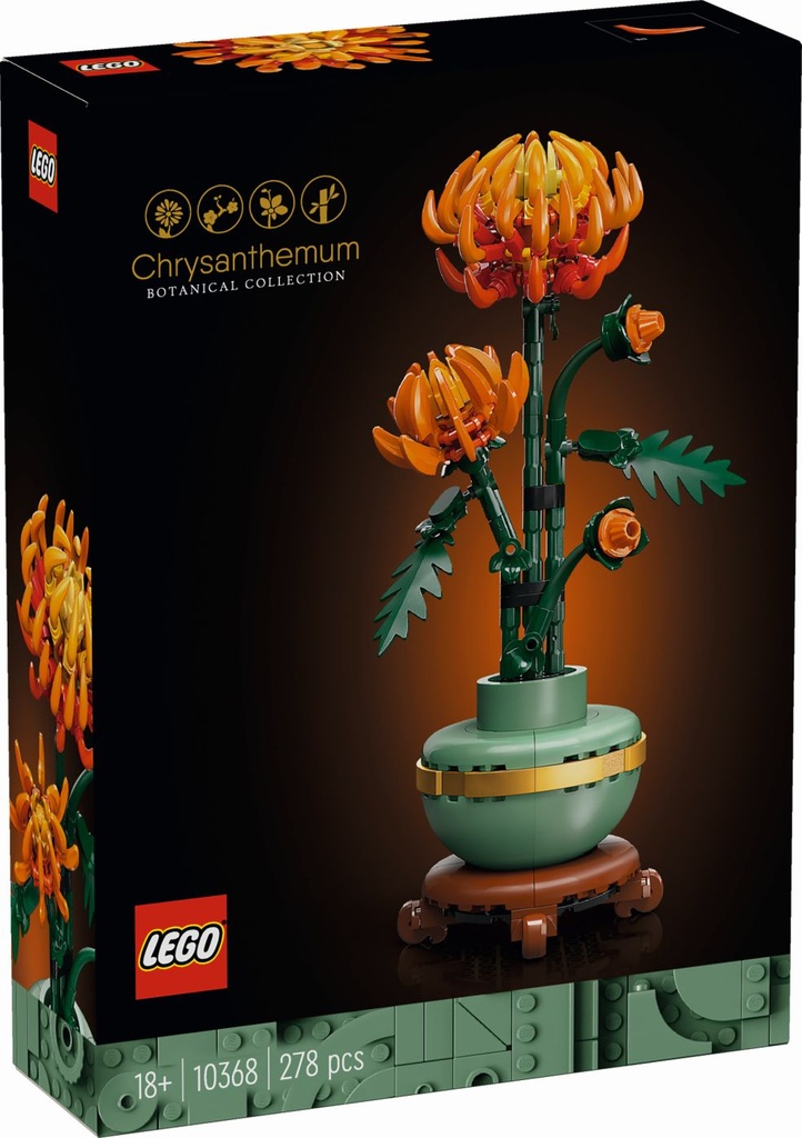 Botanisch Chrysantheme
