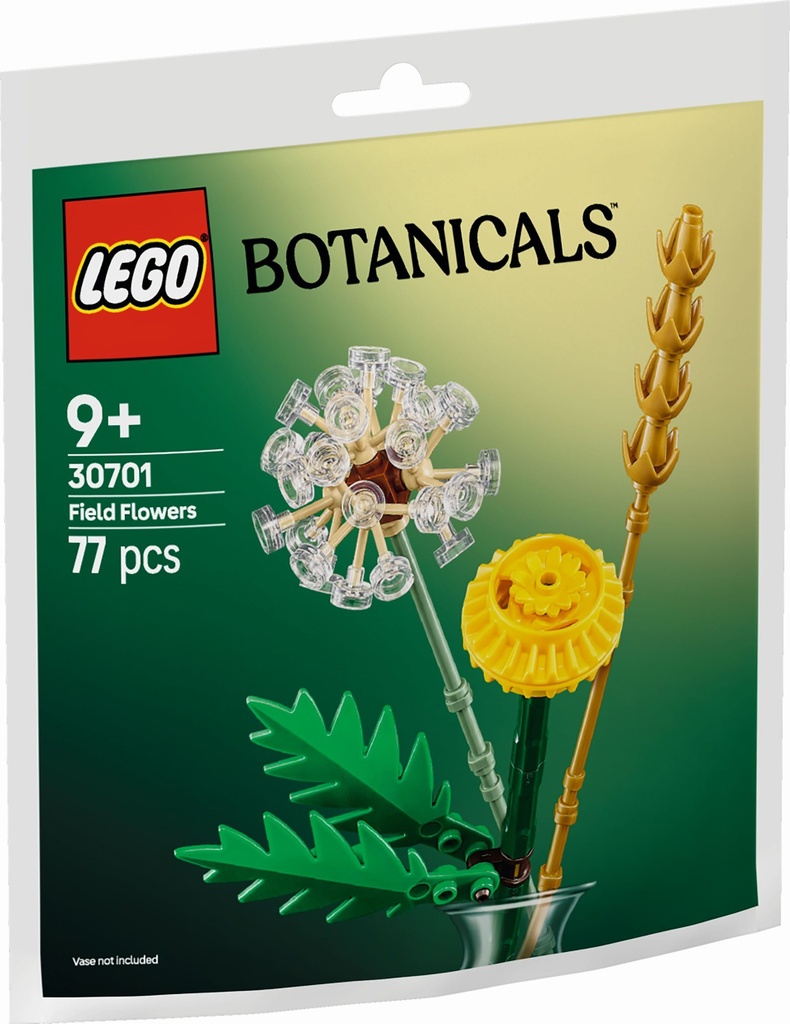 Fleurs des champs