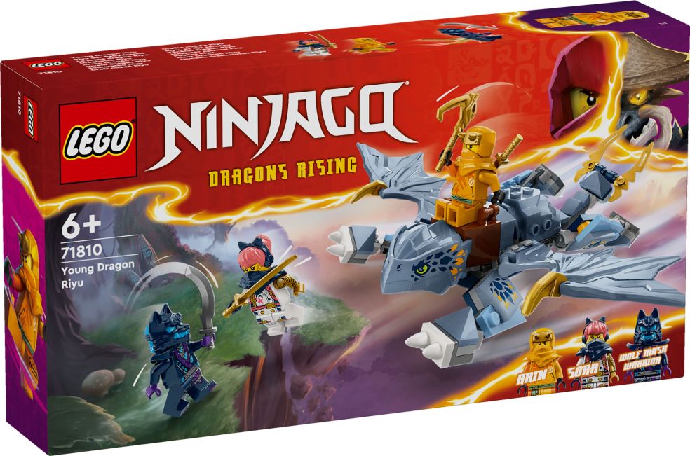 Ninjago Jeune dragon Riyu