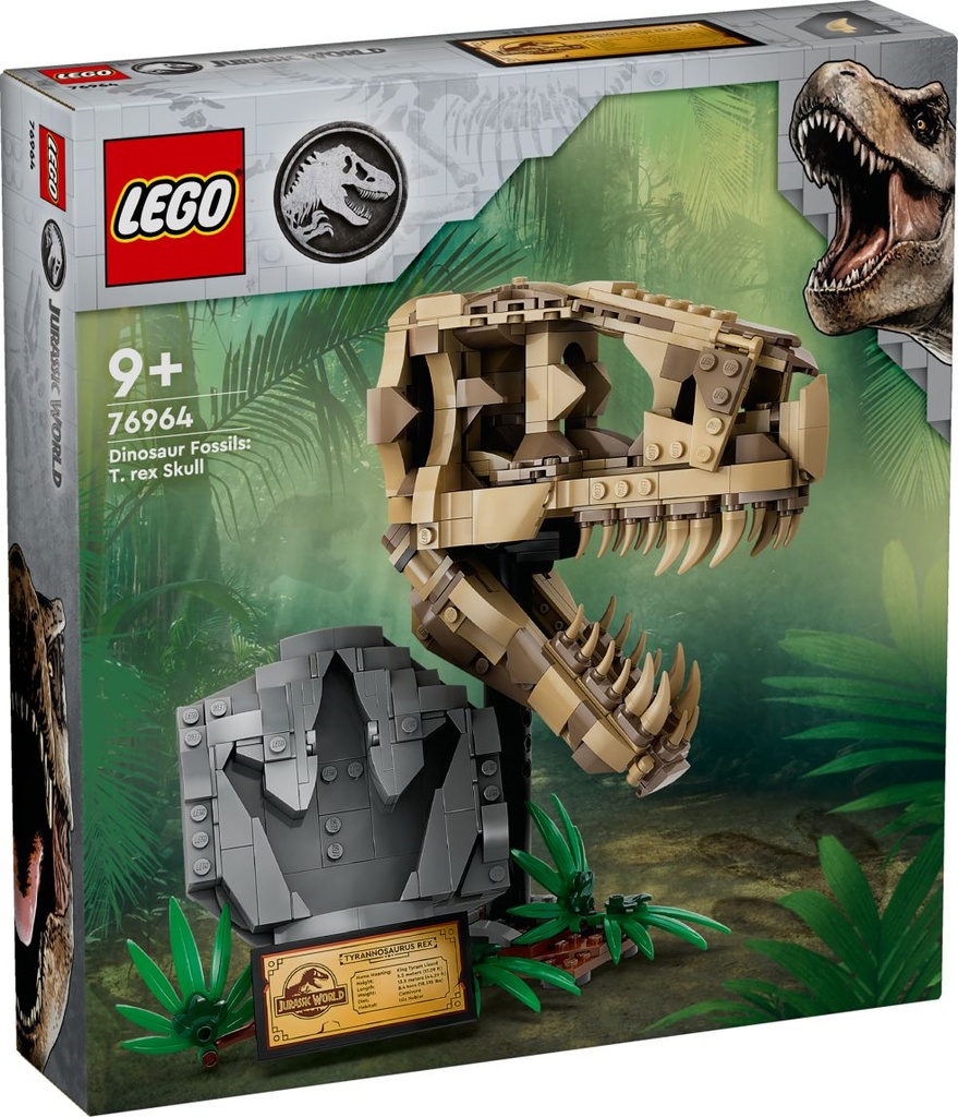 JW Dinosaur Fossils: T. Rex Skull