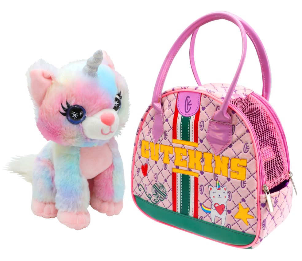 Chat arc-en-ciel en sac