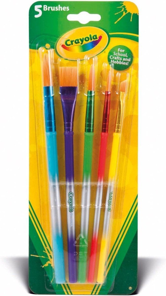 5 Assorted Paintbrushes