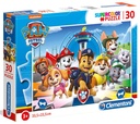 Pzl 30 Paw Patrol