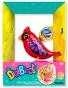 Digibird Cardinal