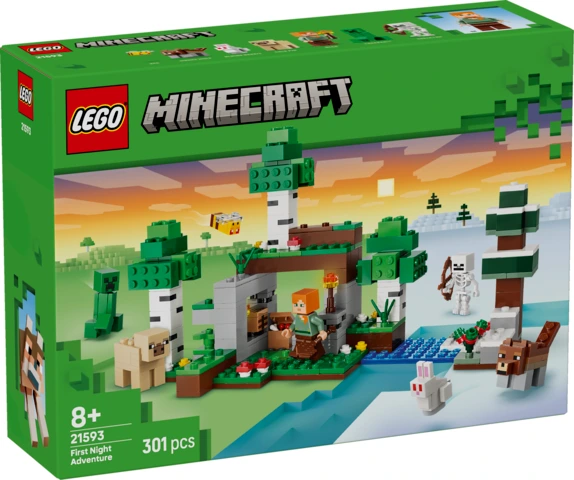 LEGO® Minecraft® L’aventure de la première nuit