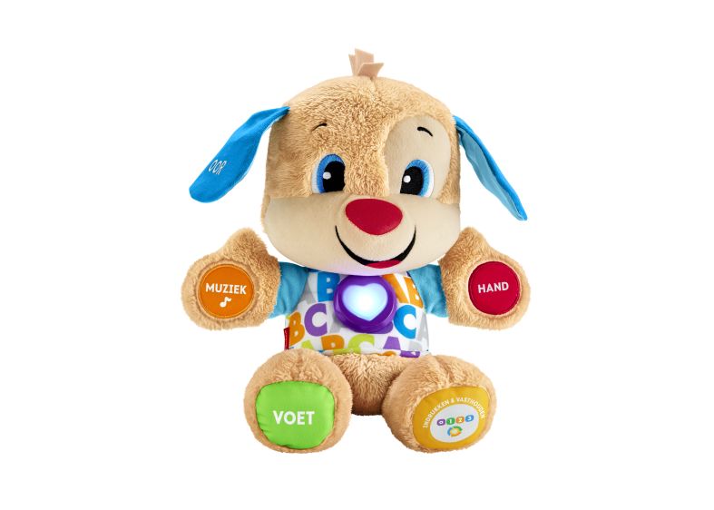 [09061222FIS] FP NL Eerste Woordjes Puppy - FPM60