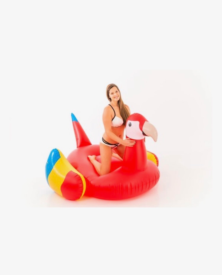 [15504573KID] Flotteur Perroquet Géant Didak - 195x180x115cm