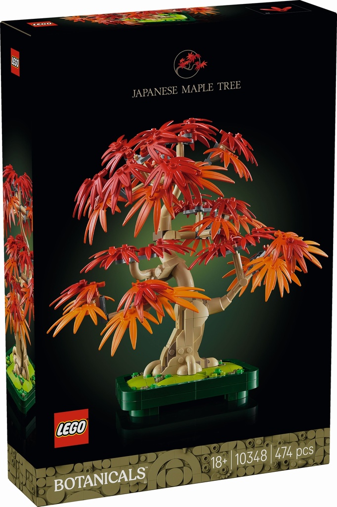 [36210348LEG] Botanicals Bonsaï érable japonais rouge