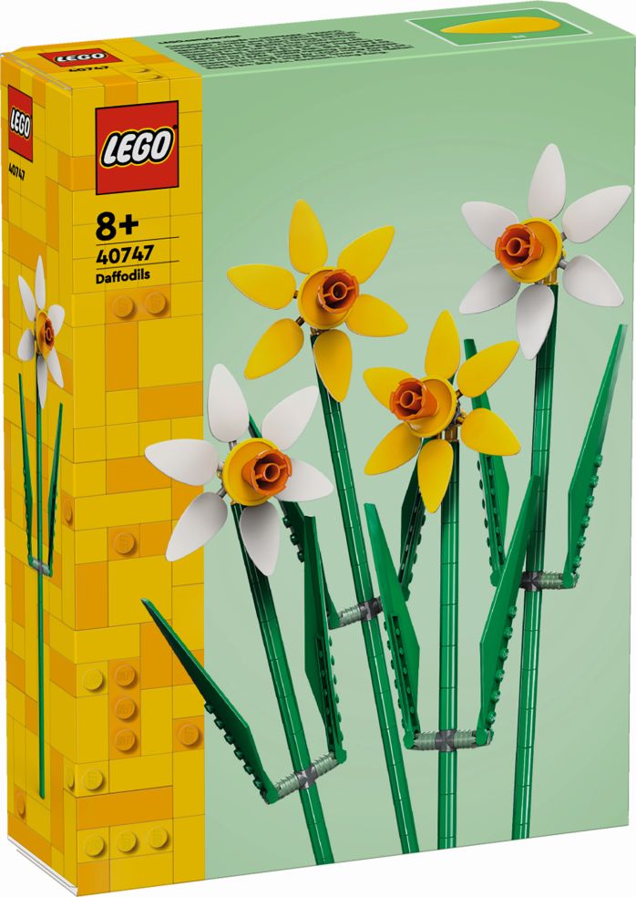 [36240747LEG] Botanical Narcissen