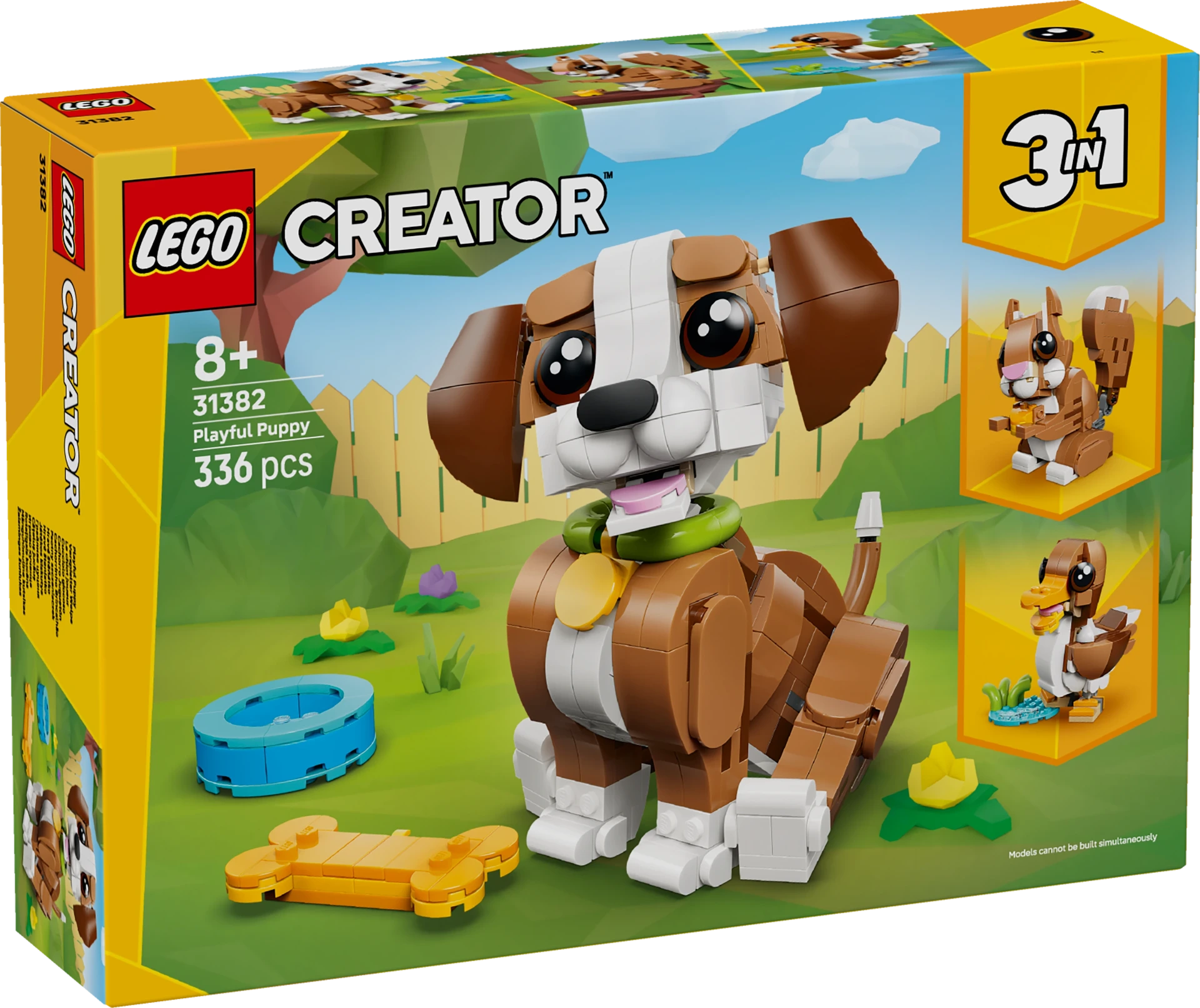 [36231382LEG] Schattige dieren: speelse puppy